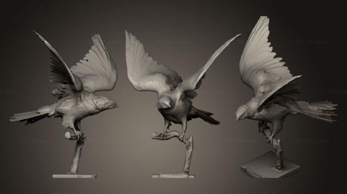 Статуэтки птицы (Велоджед лесн, STKB_0148) 3D модель для ЧПУ станка